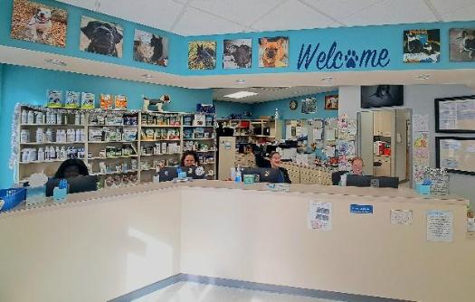 Interior of Dog & Cat Hospital in Norfolk, VA